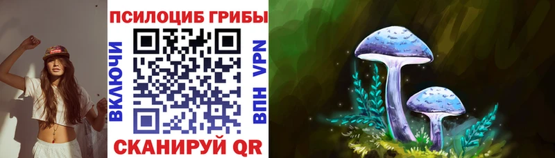 купить наркотик  Ковылкино  Галлюциногенные грибы Psilocybine cubensis 
