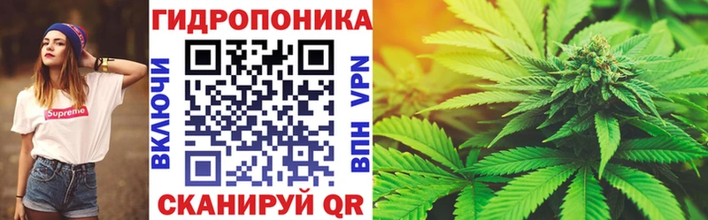 Каннабис ГИДРОПОН  как найти закладки  Ковылкино 